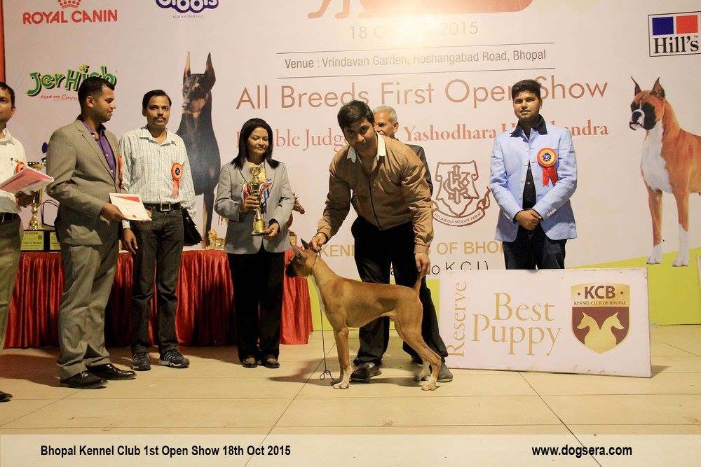 kennel club of bhopal gallery