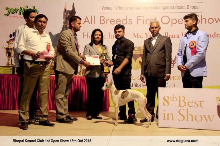 kennel club of bhopal gallery