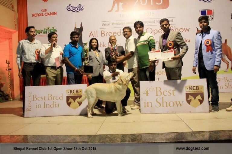 kennel club of bhopal gallery