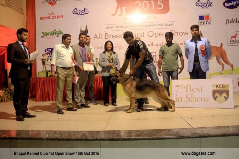 kennel club of bhopal gallery