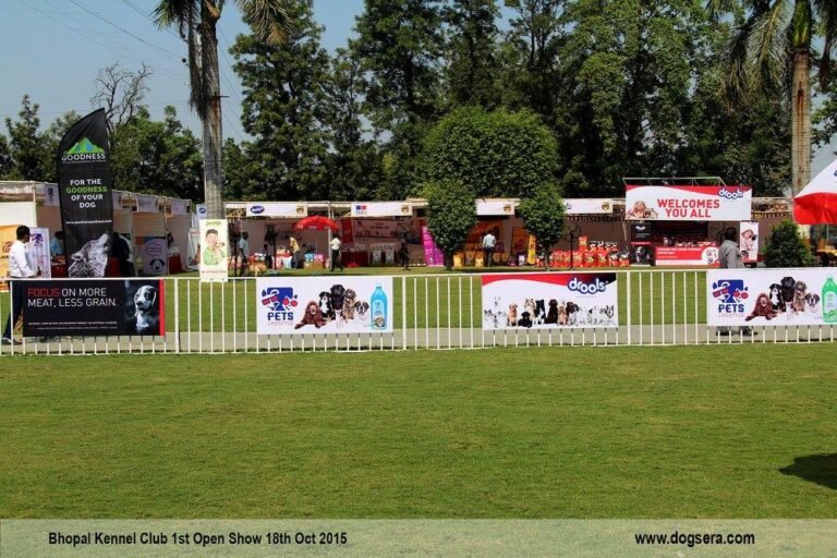 kennel club of bhopal gallery