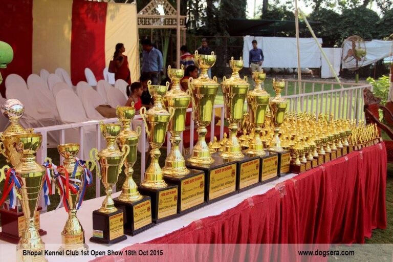 kennel club of bhopal gallery